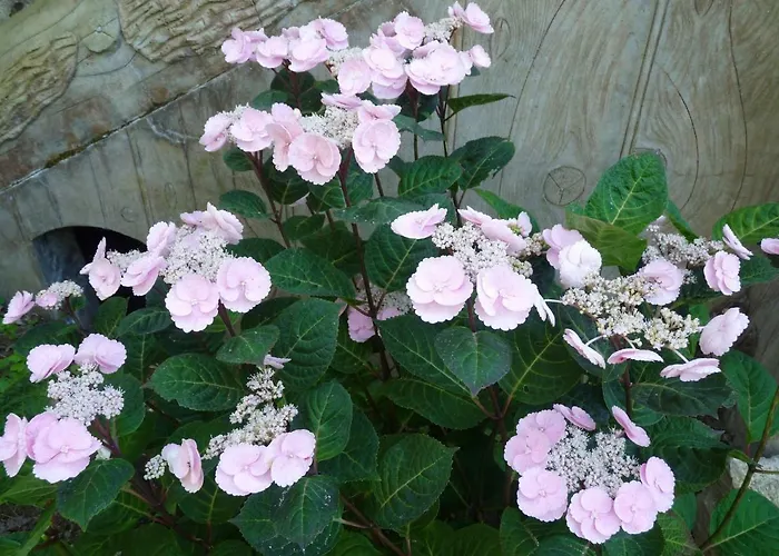 Le Point D'orgue 3* Pineuilh